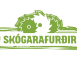 Skógur