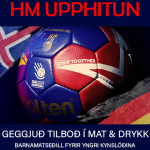 HM_480x726
