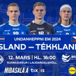 300x250_heimaleikur (5)