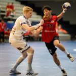 Iceland vs Korea