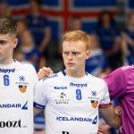 Iceland vs Korea