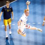 Iceland vs Sweden