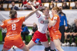 Hollendingar töpuðu fyrir Dönum í Kaupmannahöfn